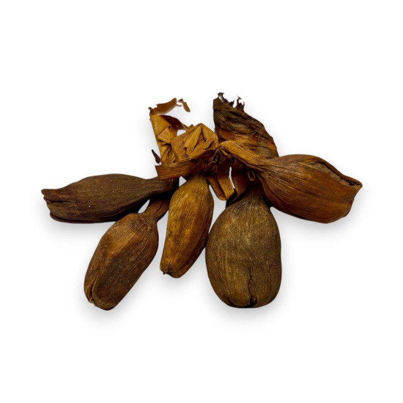 Alligator Pepper, Atare