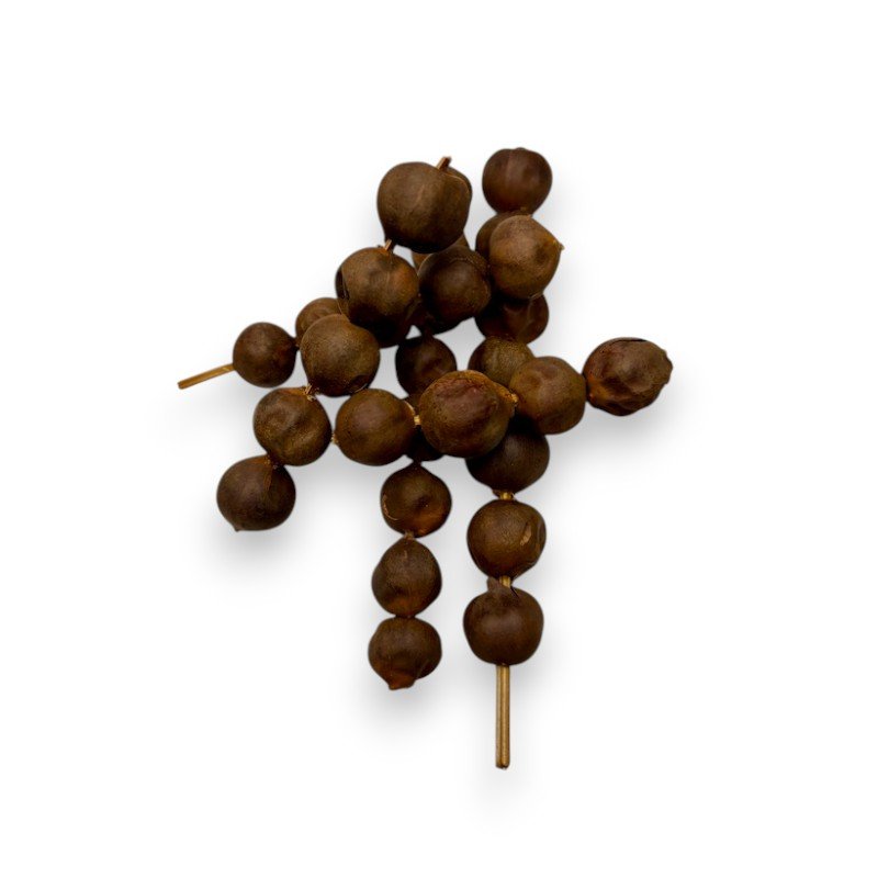 Contri Onion, Rondelles, Olum